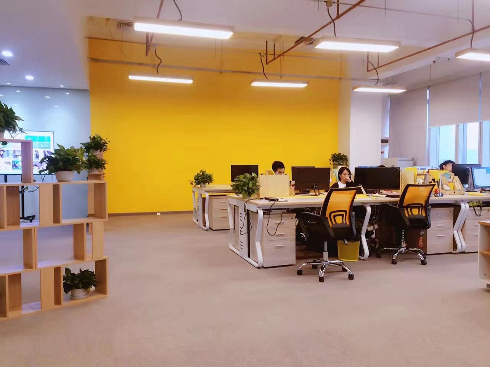 Open studio, mid-afternoon